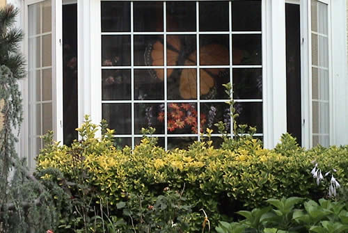 Residential Window Services Crescent Lake, Oregon